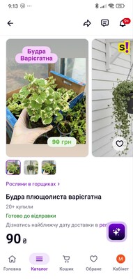 Фото №2