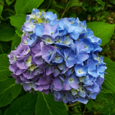 Фото №3