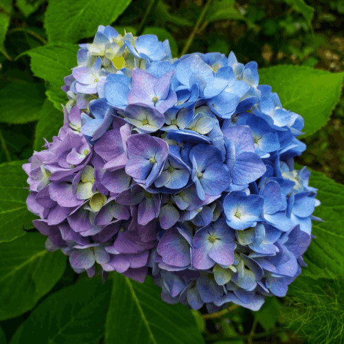 Фото №3