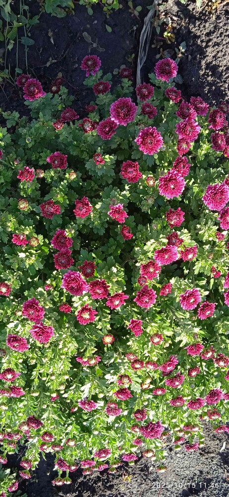Фото №3