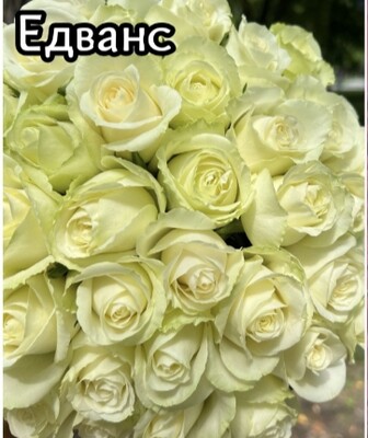 Фото №1