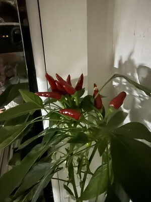 Фото №2