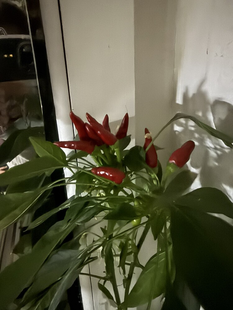 Фото №2