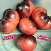 Томат Сержант Пеппер червоний